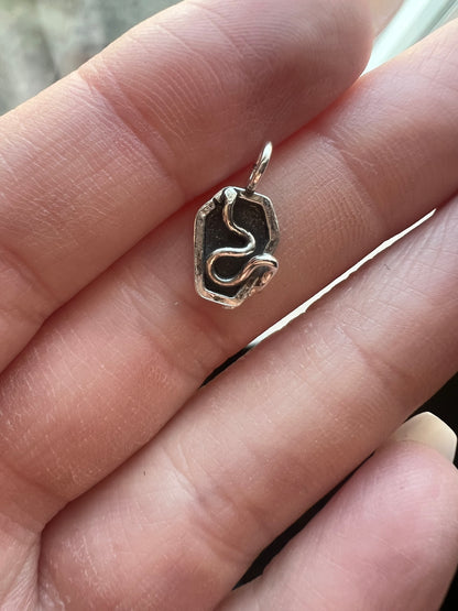 coffin snake charm