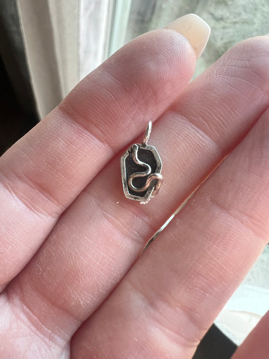 coffin snake charm